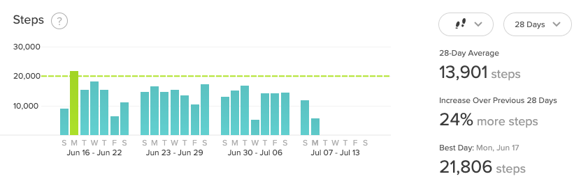 FitBit Exercise Averages over 28 Days